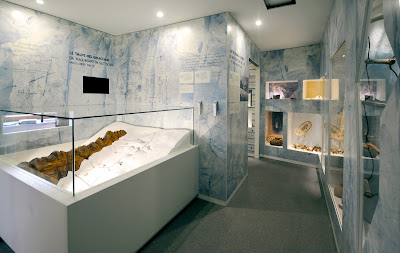 Museum Marmolada Great War 3000 M