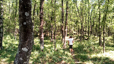 Camping Monti Ernici