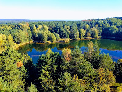 Greater Poland National Park