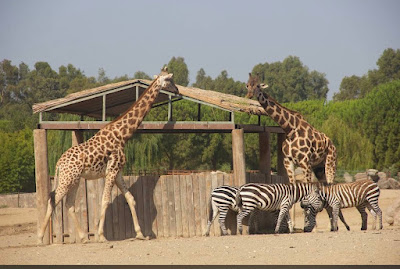 Izmir Wildlife Park