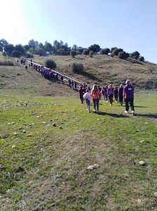 Los Arroyones