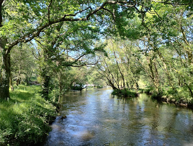 Área recreativa Illa do Refuxio