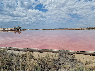 Mirador Charcas Rosadas