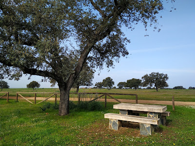Monte de las Pinedas