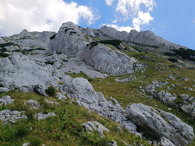 Prutaš