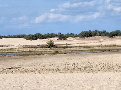 Uitkijkpunt Loonse & Drunense Duinen