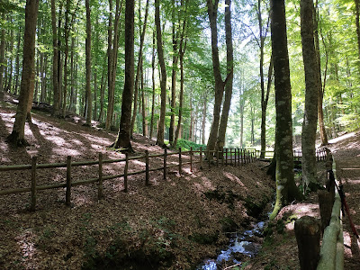 Area Picnic Faggeta di Condrò