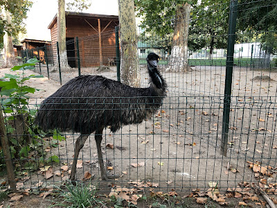 Grădina Zoologică a Parcului „Nicolae Romanescu”