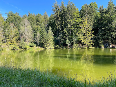 Buchwiesweiher