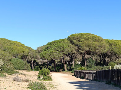 perros La Algaida Park