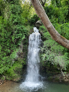 Platanistos bridge