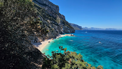 Selvaggio Blu