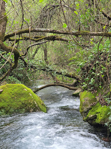 Inicio de la ruta del río Majaceite