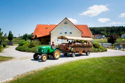Thermenland Camping Bad Waltersdorf