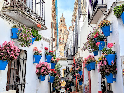 Calleja de las Flores