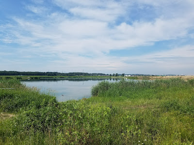 Łowisko Brzegi IIIc (koło PZW Zwierzyniec)