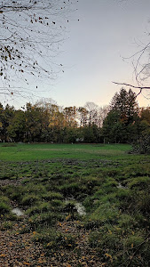 Buschwiesen