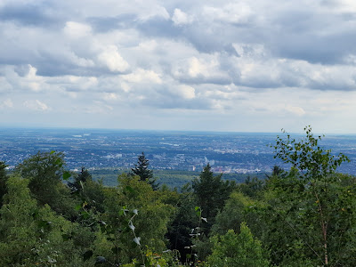 Aussichtspunkt über Wiesbaden und Mainz