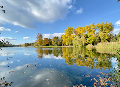 Auwaldsee, Badestrand