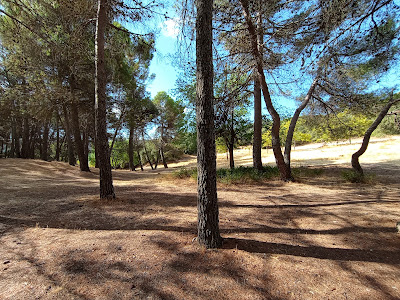 Paraje de la Fuensanta