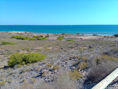 Mirador de Playa Larga