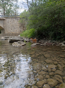 Àrea recreativa del Pont de Sant Joan