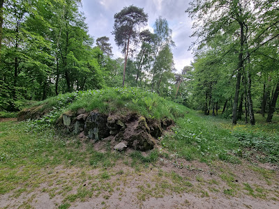 Parking leśny, wiaty