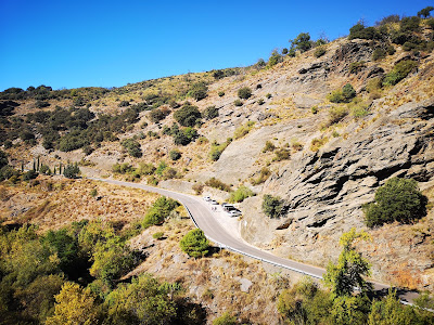 Ruta del agua y el castañar de Paterna