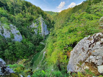 Cheile Cuților