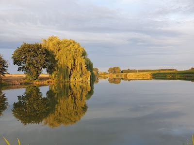 Porąbka