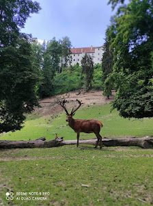 Wild Park Castle Ortenburg