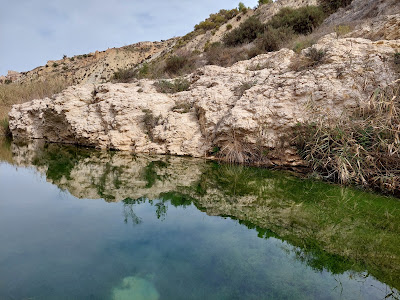 Nacimiento del Río Aguas