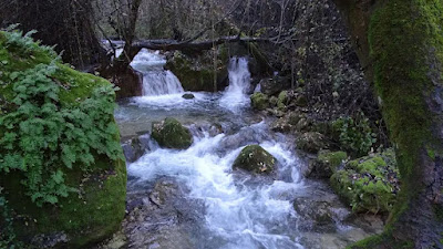 Zona de paseo Río Majaceite