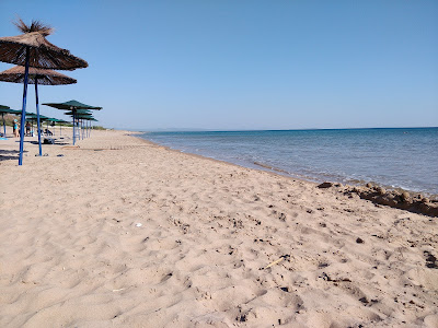 Paralia Glifa