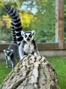 Vogel- und Tierpark Irgenöd