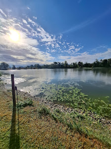 Liebmannsee