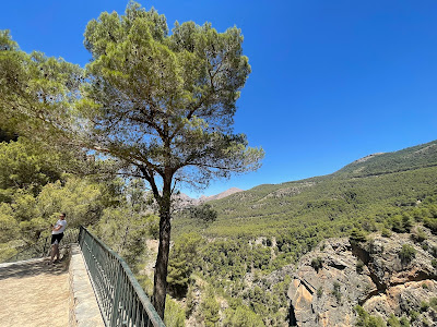 Mirador del Alcázar