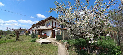 Camping Vasil Levski