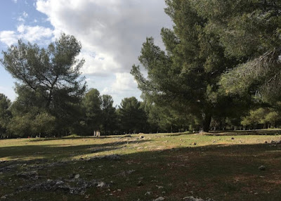 Área Recreativa de Cumbres Verdes