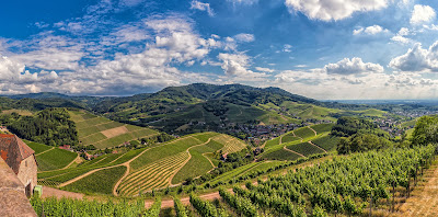 Schwarzwälder Genießerpfad "Durbacher Weinpanorama"