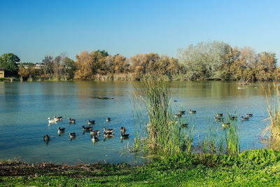 Laguna de Fuente del Rey