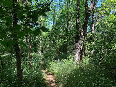 Rotary Nature Trail