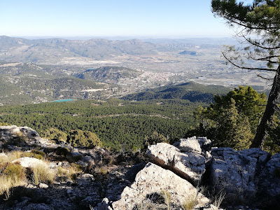 Mirador Pico del Buitre