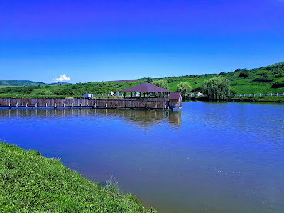 Balta Ardelean