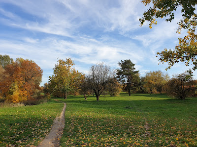 Pawlukiewicza Park