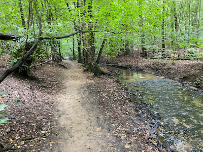Dresdner Heide - Sanddüne