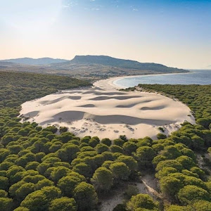 Playa de Bolonia