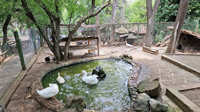 Aytos Zoo