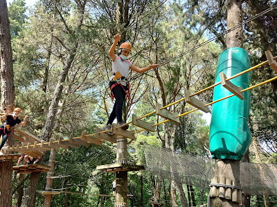 Parcallario