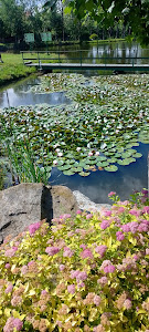 Park Zielona Dolina